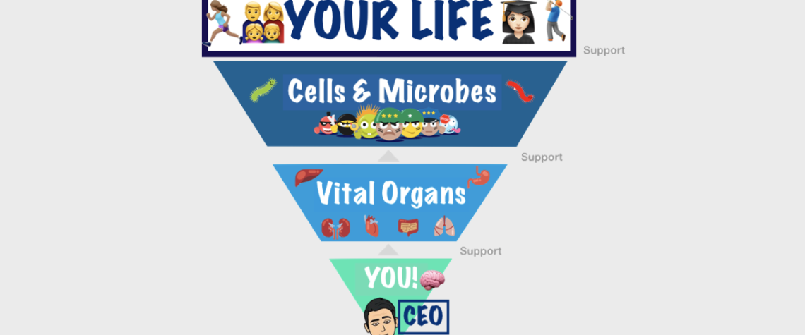 YOUR HEALTH  =  YOUR BUSINESS