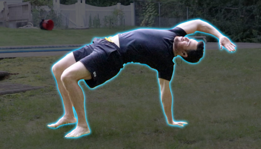 FlowMotion | Animal Flow Circuit