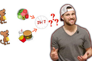 The Effects of 24/7 Availability to High FAT / High SUGAR Foods