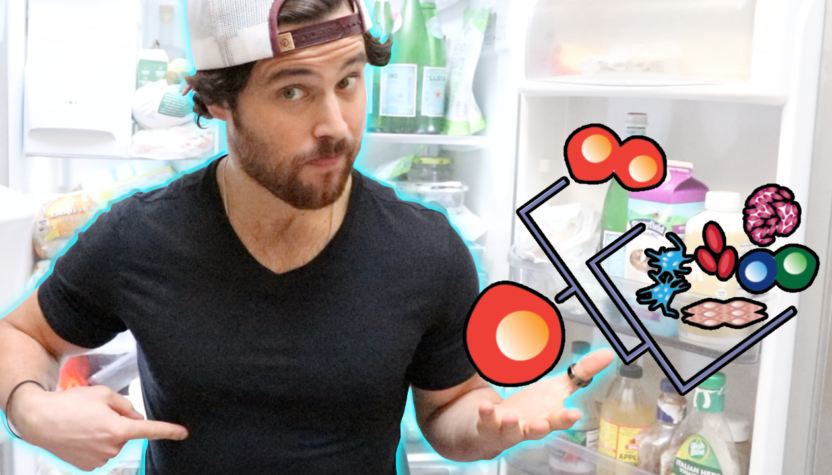 The Connection between Fasting, Celluar Recycleing & Stem Cell Regeneration