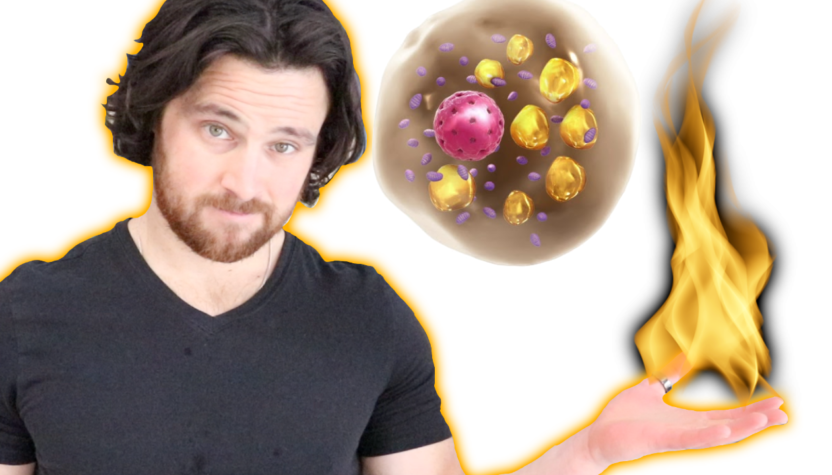 How Chronic Inflammation  can Block Brown Fat Activation & Visceral Fat Loss…