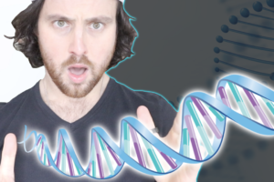 THESE Longevity Genes PROTECT Your Brain Stem Cells (FOXO3)