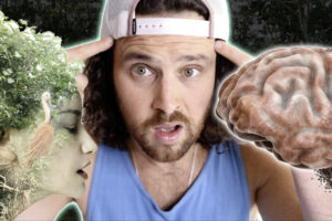 How Nature Alters the Structure of Your Brain