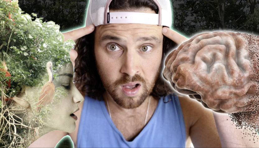 How Nature Alters the Structure of Your Brain