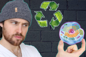 My Daily AUTOPHAGY Routine | How I Boost Cellular Healthspan on a Daily Basis