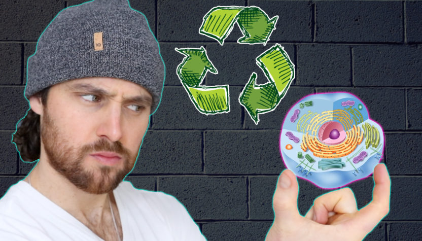 My Daily AUTOPHAGY Routine | How I Boost Cellular Healthspan on a Daily Basis