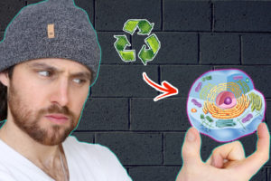 Can Intermittent Fasting BOOST The Healing PROCESS & Your Recovery?