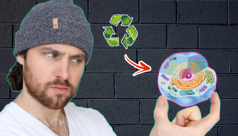 Can Intermittent Fasting BOOST The Healing PROCESS & Your Recovery?