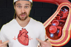 Why Blood Vessels Are Becoming STIFF | And How to STOP It