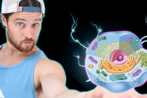 How Intermittent Fasting May HELP Reverse Type 2 Diabetes | New Study