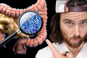 The Gut Bacteria & Obesity Connection