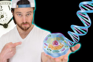 How Time Restricted Eating Changes Your Gene Expression