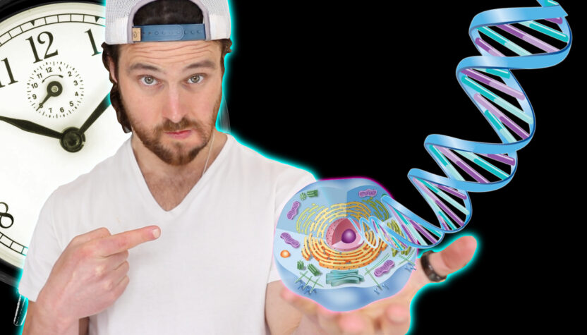 How Time Restricted Eating Changes Your Gene Expression