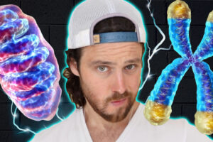 Boost Your Cellular Longevity | And FEEL GOOD More Often