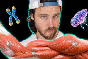 More Muscle Less Disease | The Connection is Real