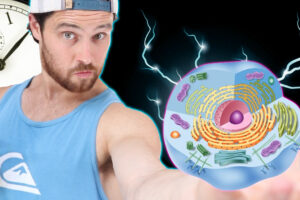 The Lost Art of Circadian Eating and its Metabolic Magic