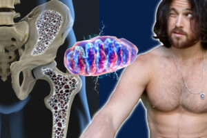 More Bone More Longevity | The Secret Connection