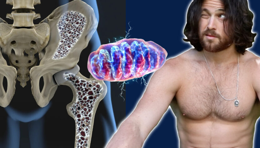 More Bone More Longevity | The Secret Connection