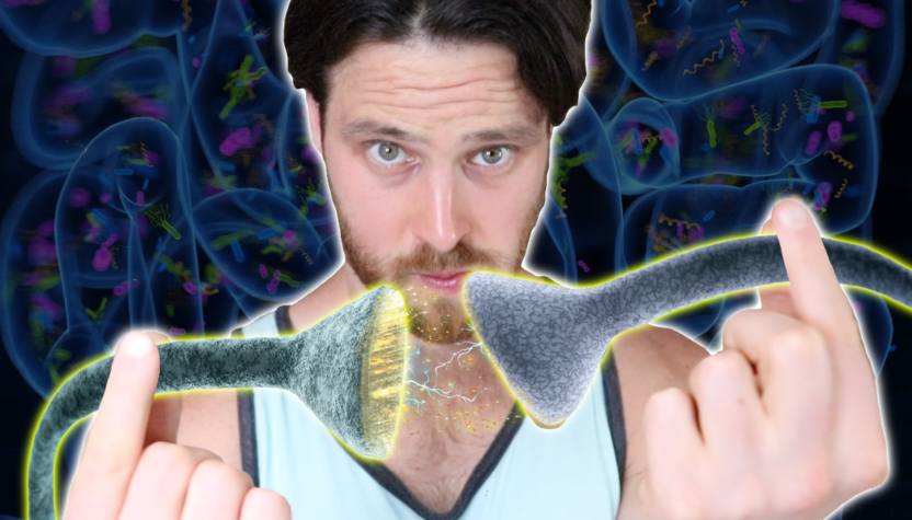 Exercise May Have NEW Brain Longevity Benefits | Adult Born Neurons