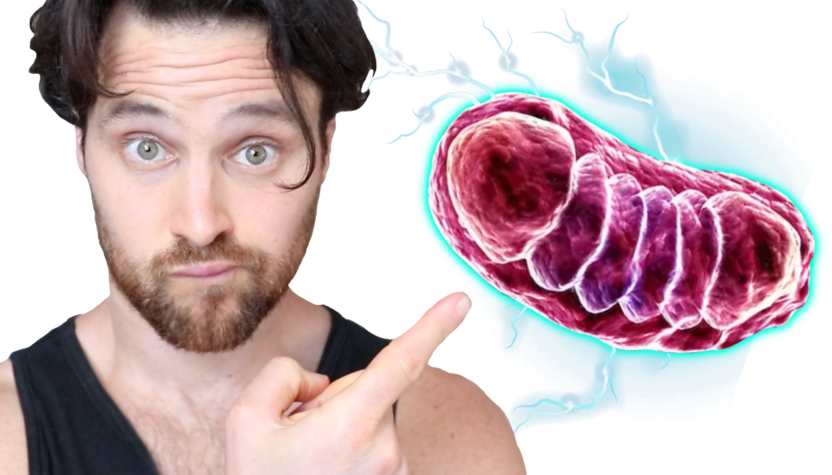 Mitochondria & Mental Health | The Suspicious Connection