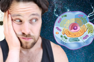 The Connection between Poor Sleep Quality & Insulin Resistance | Don’t Sleep on Deep Sleep