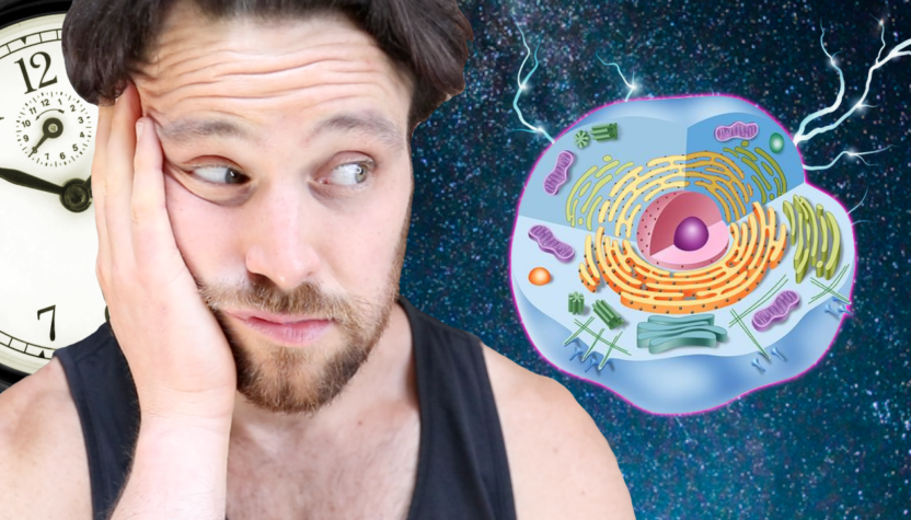 The Connection between Poor Sleep Quality & Insulin Resistance | Don’t Sleep on Deep Sleep