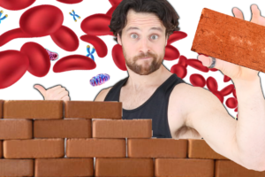 Your KEY Bodily Barriers | How to Support and Strengthen Them