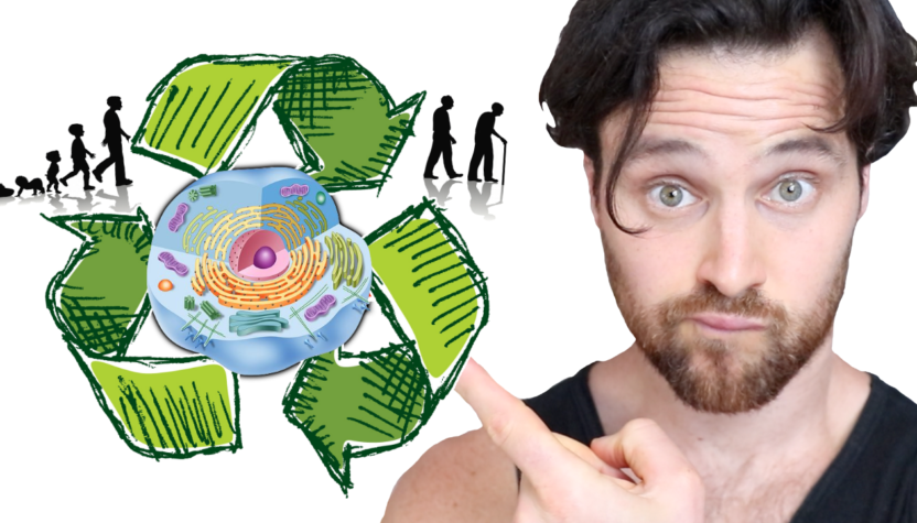 AUTOPHAGY as YOU Age | The Cellular Recycling Secret to Longevity