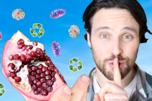 Plants Secret Longevity Compounds | Phytochemicals