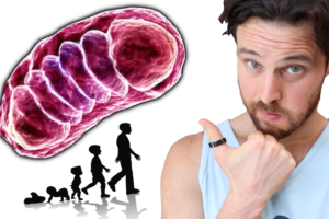 Is Improving Mitochondria Function a Secret to Fixing Obesity?