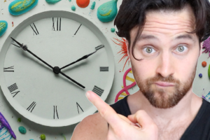 A Fasting Mimicking Strategy that Reduces Biological Age | Is it Worth it?