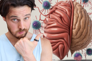 The Thymus | Your Secret Longevity Organ