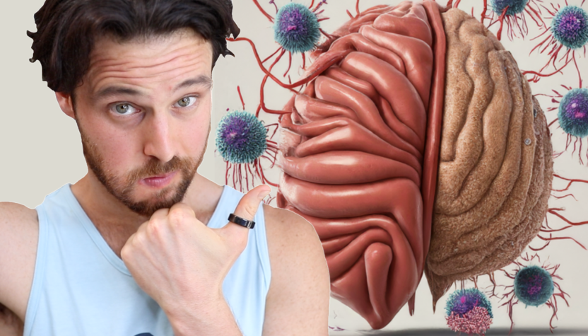 The Thymus | Your Secret Longevity Organ