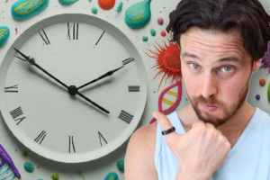 Can a High Protein & Fasting Protocol Alter your Microbiome for the Better?