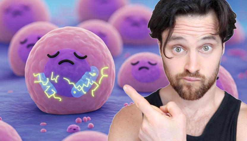 Want Better Stem Cell Function | You Need Better Mitochondria