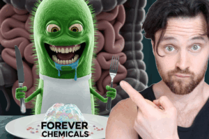 Forever Chemicals – The Secret to Eliminating Them May Be in Your Gut Microbiome