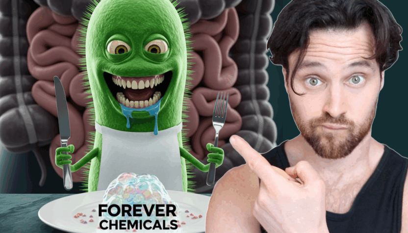 Forever Chemicals – The Secret to Eliminating Them May Be in Your Gut Microbiome