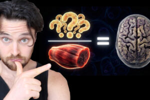 Visceral Fat to Muscle Mass Ratio: A NEW Brain Longevity Predictor