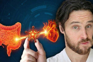 The “Heart Attack Metabolite” Produced in Your Gut | How to STOP IT