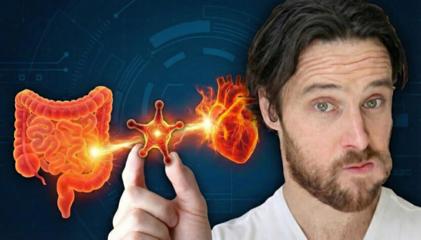 The “Heart Attack Metabolite” Produced in Your Gut | How to STOP IT