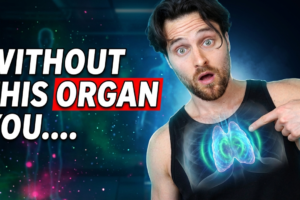 This Organ Shrinks Every Year — And It’s Influencing How Long You Live