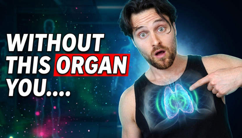 This Organ Shrinks Every Year — And It’s Influencing How Long You Live