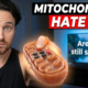 Spend 10 Days in Bed? Your Mitochondria Will Pay the Price